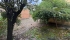 IMG_8853.JPEG
