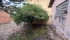 IMG_8854.JPEG