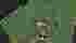 Capturar.PNG