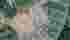 CapturarASDASDAS.PNG