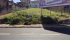 IMG_8073.JPEG