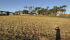 IMG_8057.JPEG