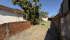 IMG_1208.JPEG