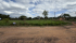 IMG_5855.JPEG