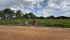 IMG_5852.JPEG